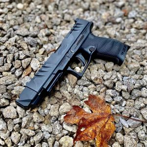 Alternative view of PMM Compensator for Walther PDP